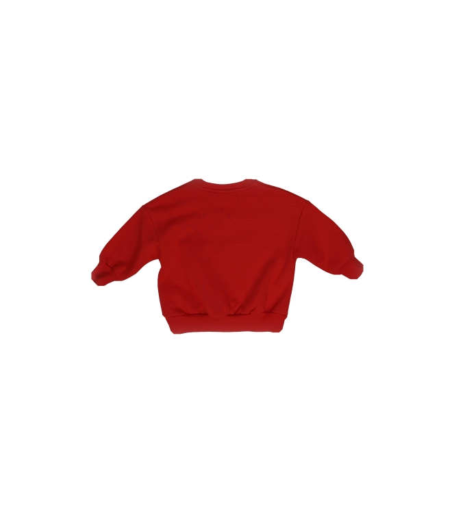 Mini Rodini Pullover