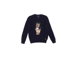 Polo Ralph Lauren Pullover