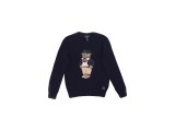Polo Ralph Lauren Pullover