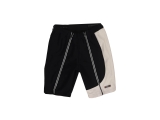 Extreme Winter Shorts
