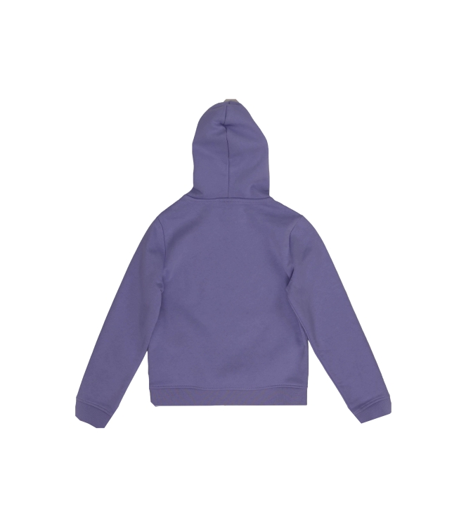 Vans Hoodie