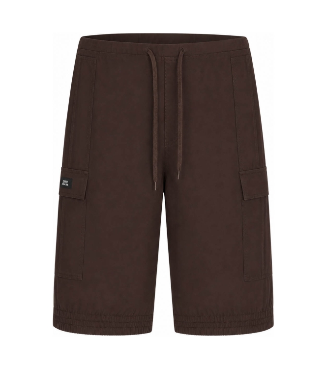 Vans Shorts