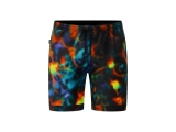 Vans Shorts