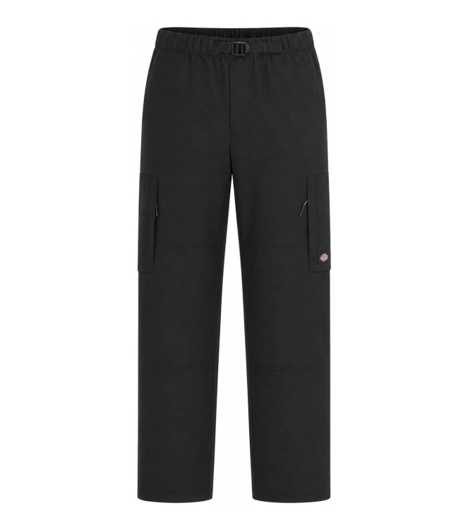 Dickies Hose