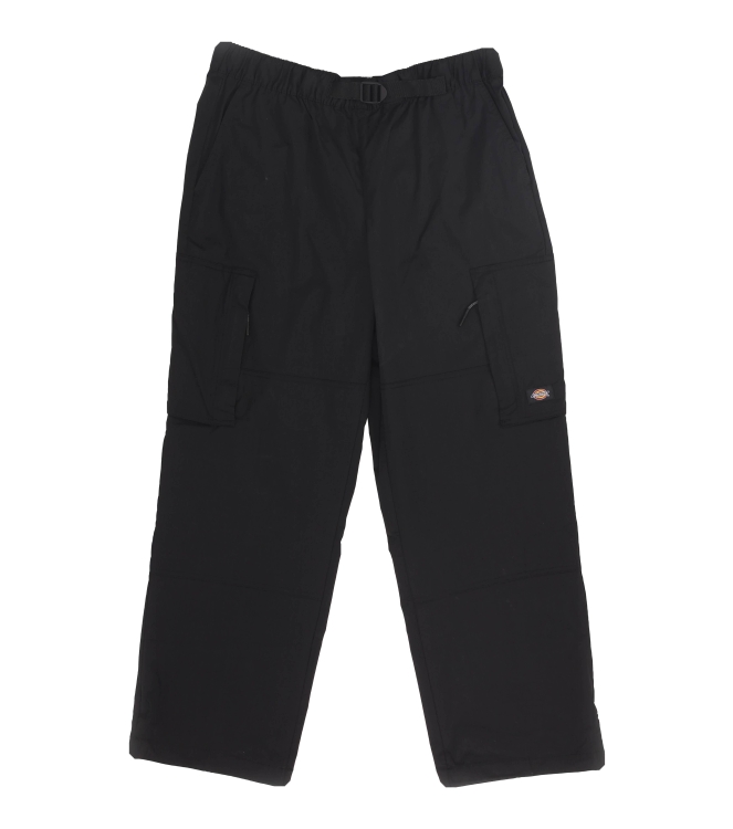 Dickies Hose